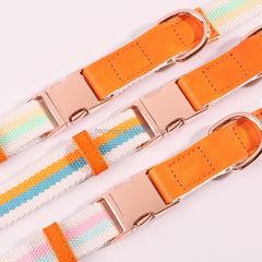 Personalized Engraved Handmade Nylon Leather Dog Collar and Leash Set in Blue, Pink, Green and Colorful Stripe Pattern