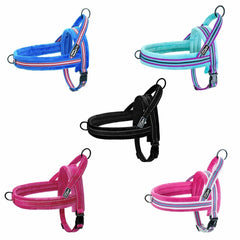 Reflective Step-In Dog Harness - No Pull, Front Ring /Seat Belt Leash Attachment